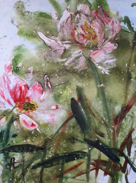 bce75867-3689-4a50-bd9f-cb228a03912b.jpeg bce75867-3689-4a50-bd9f-cb228a03912b.jpeg