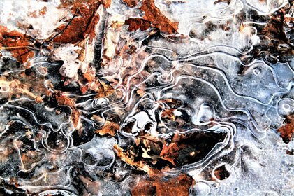 0d06ffa8-1e49-416f-9cf9-bbf47a52e2f7 0d06ffa8-1e49-416f-9cf9-bbf47a52e2f7