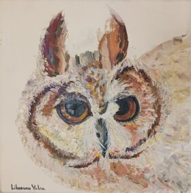 c4199f20-4ffe-4532-a10c-450e24bb3bdb