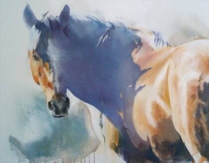 5d36ef6e-b1f2-43d6-8b22-f72d6f0d3970