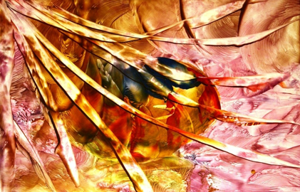 d84da09a-4727-4e07-ac45-6ec481cce056