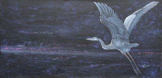 a9b069f3-3866-431e-a877-e42343ab864c