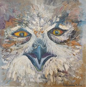 43b88f92-40e5-4c2b-a5e9-da26633407da