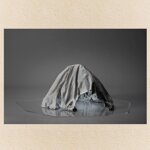 d56f8cca-cee7-418c-9348-bc48016908dd