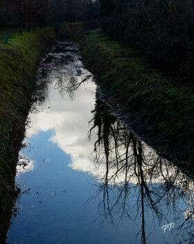 252d5ab2-293b-481f-974f-82af6c94af36 252d5ab2-293b-481f-974f-82af6c94af36