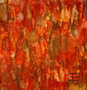 de512453-4b64-4fce-8ede-ecfb37925667