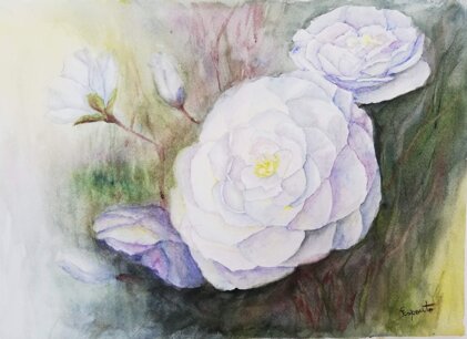 62422a03-ea4e-4bfa-922f-552e2cf4629c