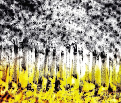 ce705168-19b1-4ff1-b2b5-3df65c04be7f.jpeg ce705168-19b1-4ff1-b2b5-3df65c04be7f.jpeg