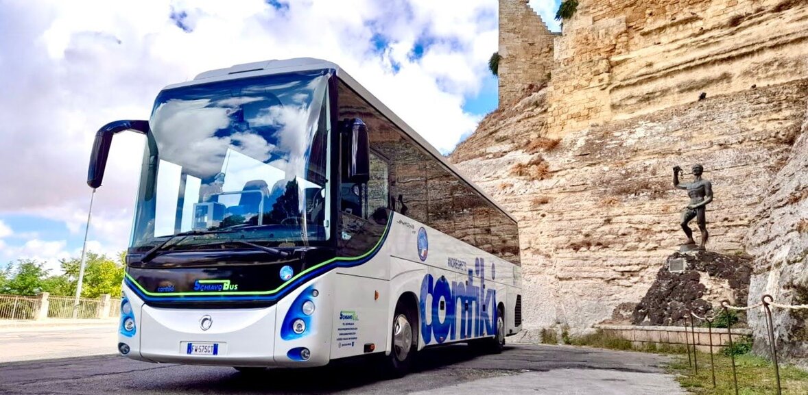 schiavo bus 2 w.jpeg