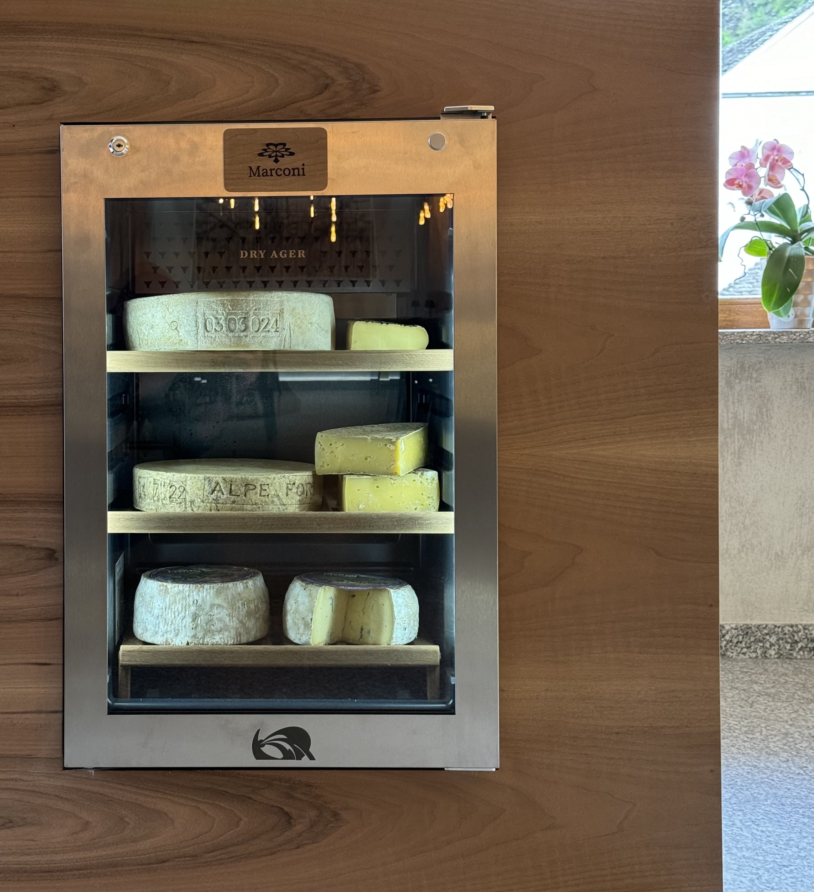 Refrigerator for the cheese selection