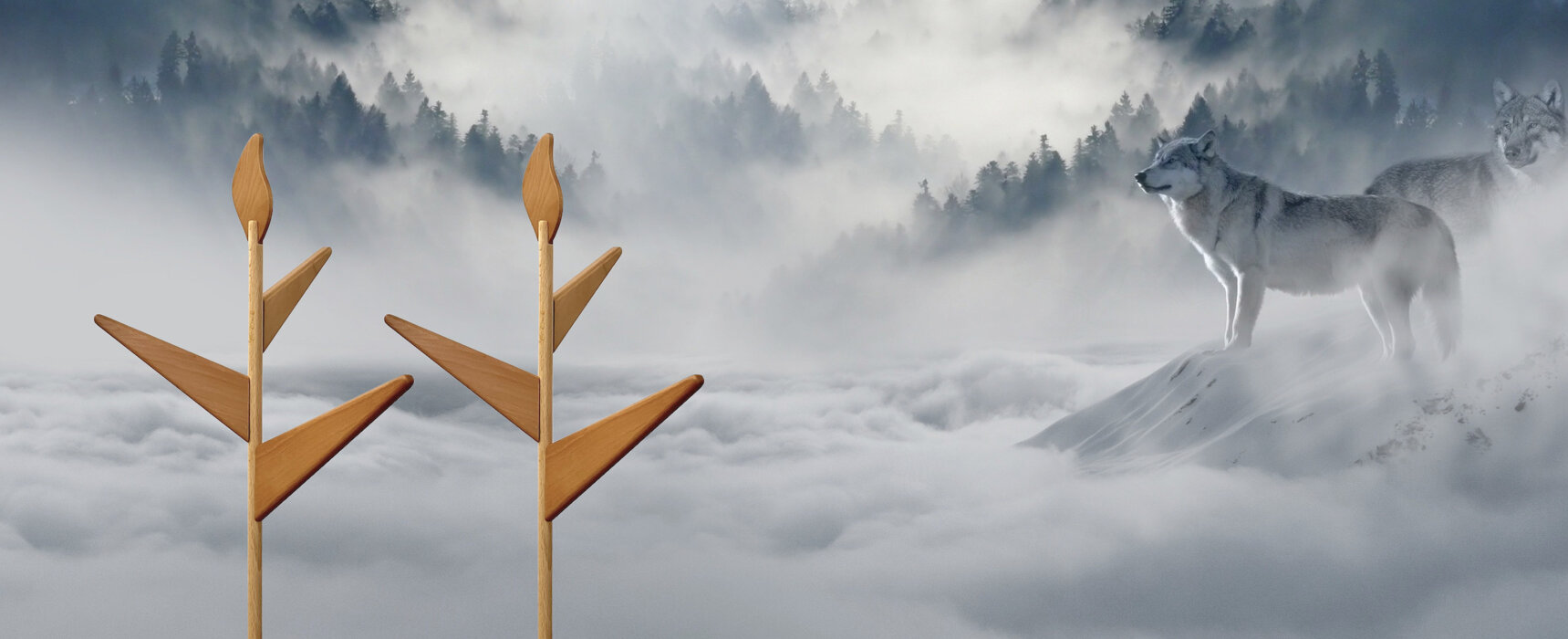 81ae6fb0-5d8a-4f07-918d-9514cf834784