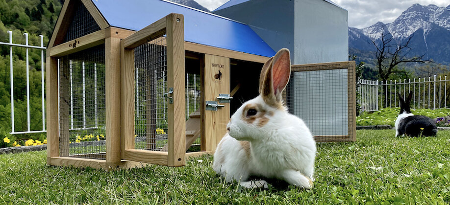 eae474da-5a3e-42f8-94ed-3aa2fd068626