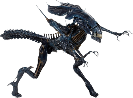 d4212585-706f-4e5f-90b0-a6c1f743bf30