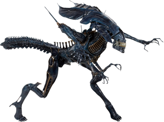 d4212585-706f-4e5f-90b0-a6c1f743bf30 d4212585-706f-4e5f-90b0-a6c1f743bf30