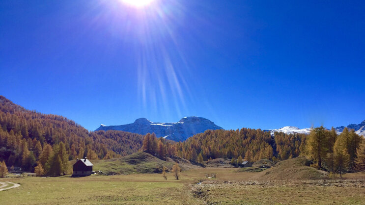 1753cb36-3838-427e-a324-44f0b3839d2a