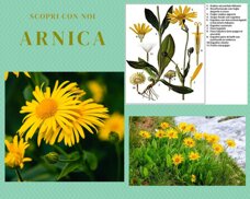 17fe05078c082f0a6da8a75fa2b2407aab8c857f