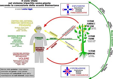 1ffc1545ba55486e9cb44d91521a67c6f3f41099