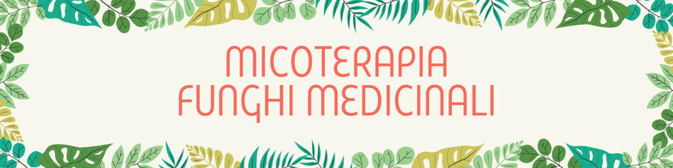 micoterapia funghi