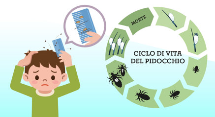 2d74e445a7befff6a3807923502b9166af554db8