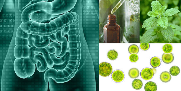 30c68457bf410e9ba8470edbde683e852d111e1b