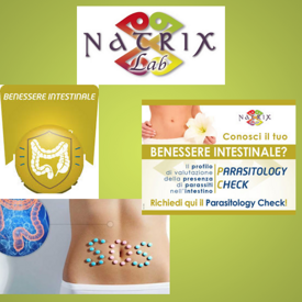 36b49fa2b1040057d3daa70b2be2f708b8bb36e5