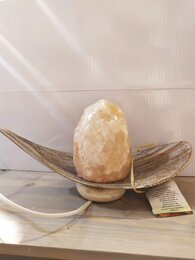 37bc0b116b340745a97c5f010b9417925c5e5b5f