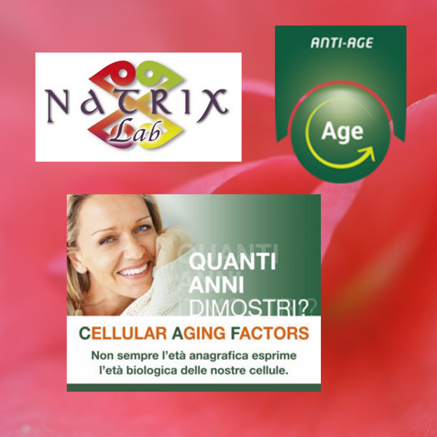 40c3e8494410d330d3ae329cabeb84d455521d8e