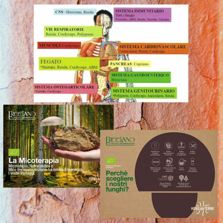 4ff095362a740f46e8146a0ac9f939ad9b25bcbb