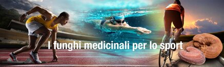 7119489a547aa702002897129af1950fb6c2a24b