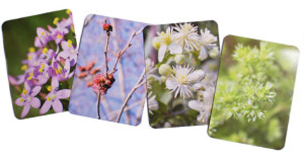 7c807b5d6898fda7e4e47d0b83d798109bf05ef6