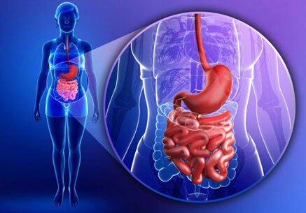 7ee5e17b49e8c08fa0392719b4985ec245bd0e1d