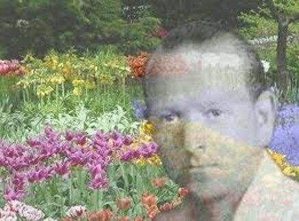 89c53dfe1ee80bac977f6108aac4b9f9bbfab680