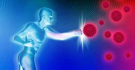 8fc40fd5459abba86553a654747d933f566d2b67