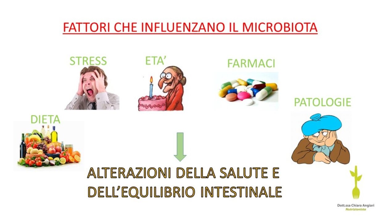 91398e3708120d18a9c69c6c52183cab1427deea