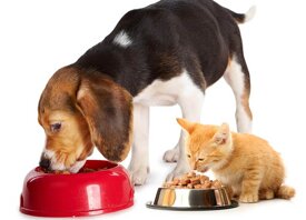 cea4bdea78675dc11c22783d1c56d891e1d6d039