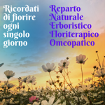 dfe481b4a4a7fc1634946b68013ec220a687fa7f