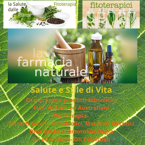 fitoterapia fitoterapia