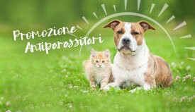 f779432f57af963dde9bdb88c4b52a7f78d73e64