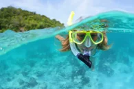 7e24a2f8-3fda-4c12-b7c2-09de2911b341