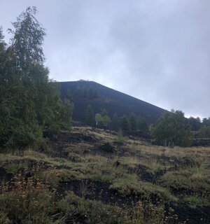 img_2731.jpeg