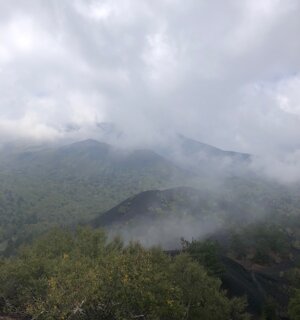 img_2664.jpeg