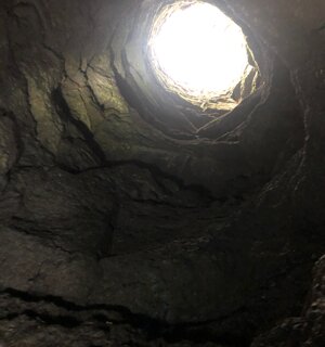 img_2732.jpeg