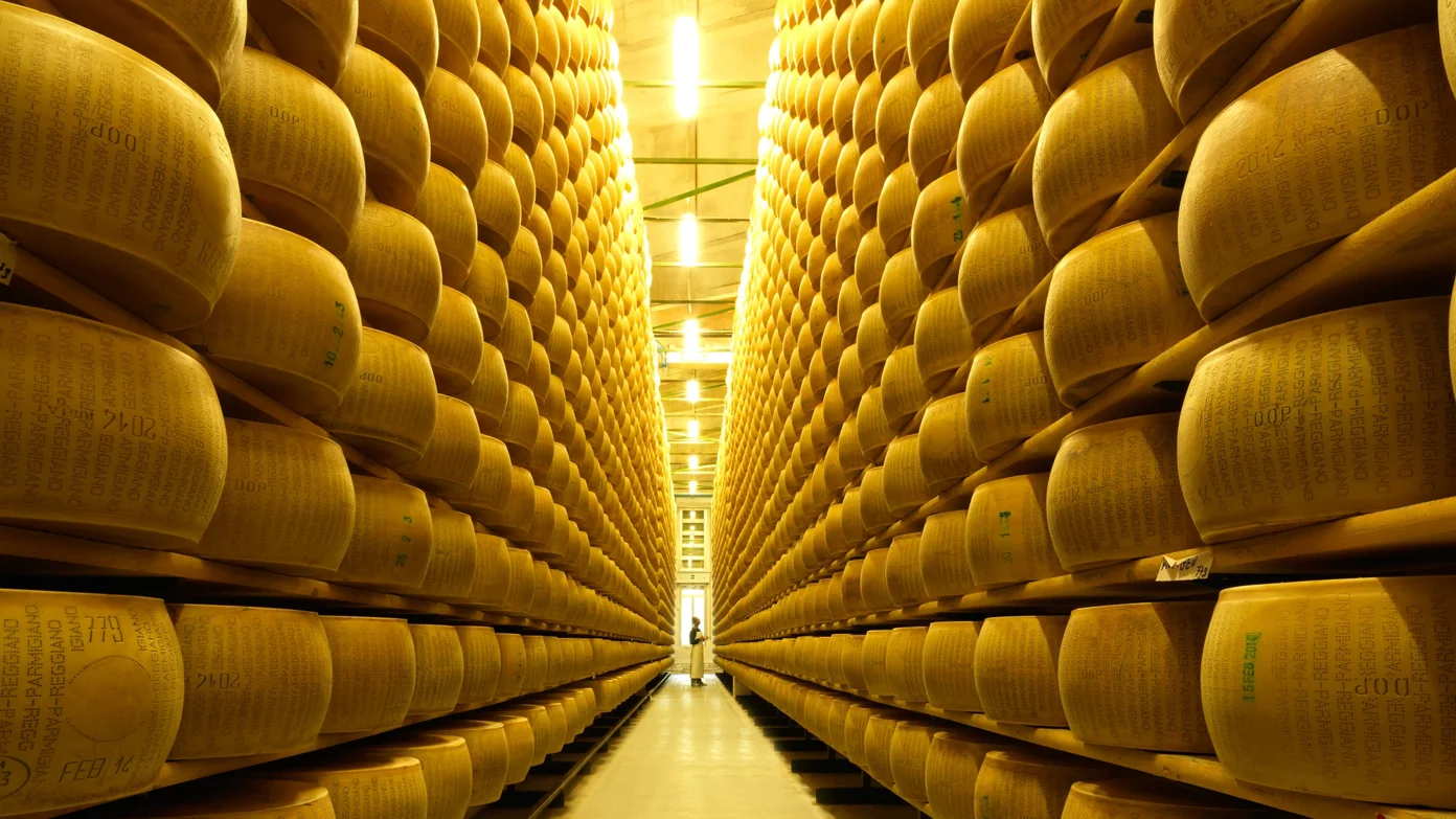 parmigiano reggiano_0008