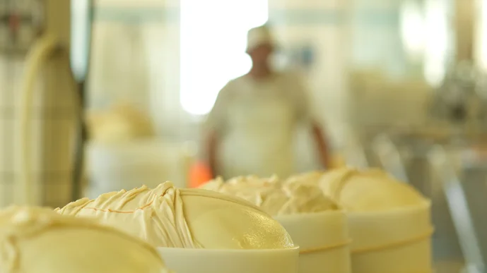 parmigiano reggiano_0040