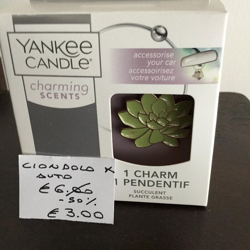 yankee-candle-succulent