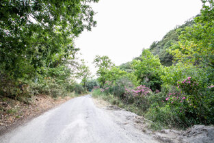 088be40840e74e755bc2a5d19f2927d12892a257