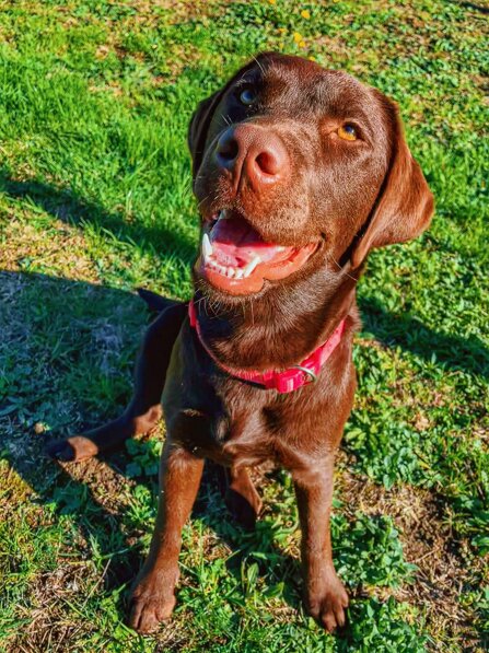 3944a8a99b14d3730bf83307943a437a0f531769