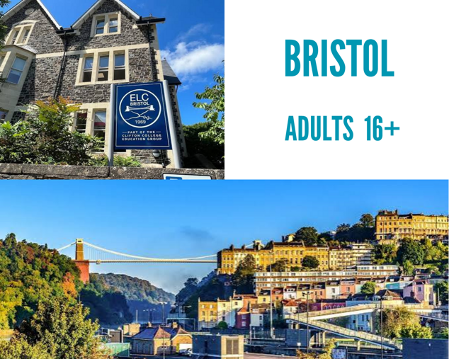 bristol adults and young adults (1)