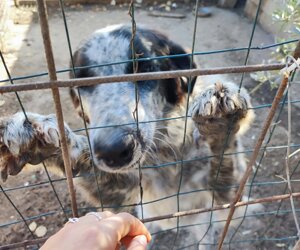 img-20250219-wa0045.jpeg