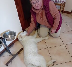 img-20250418-wa0019.jpeg